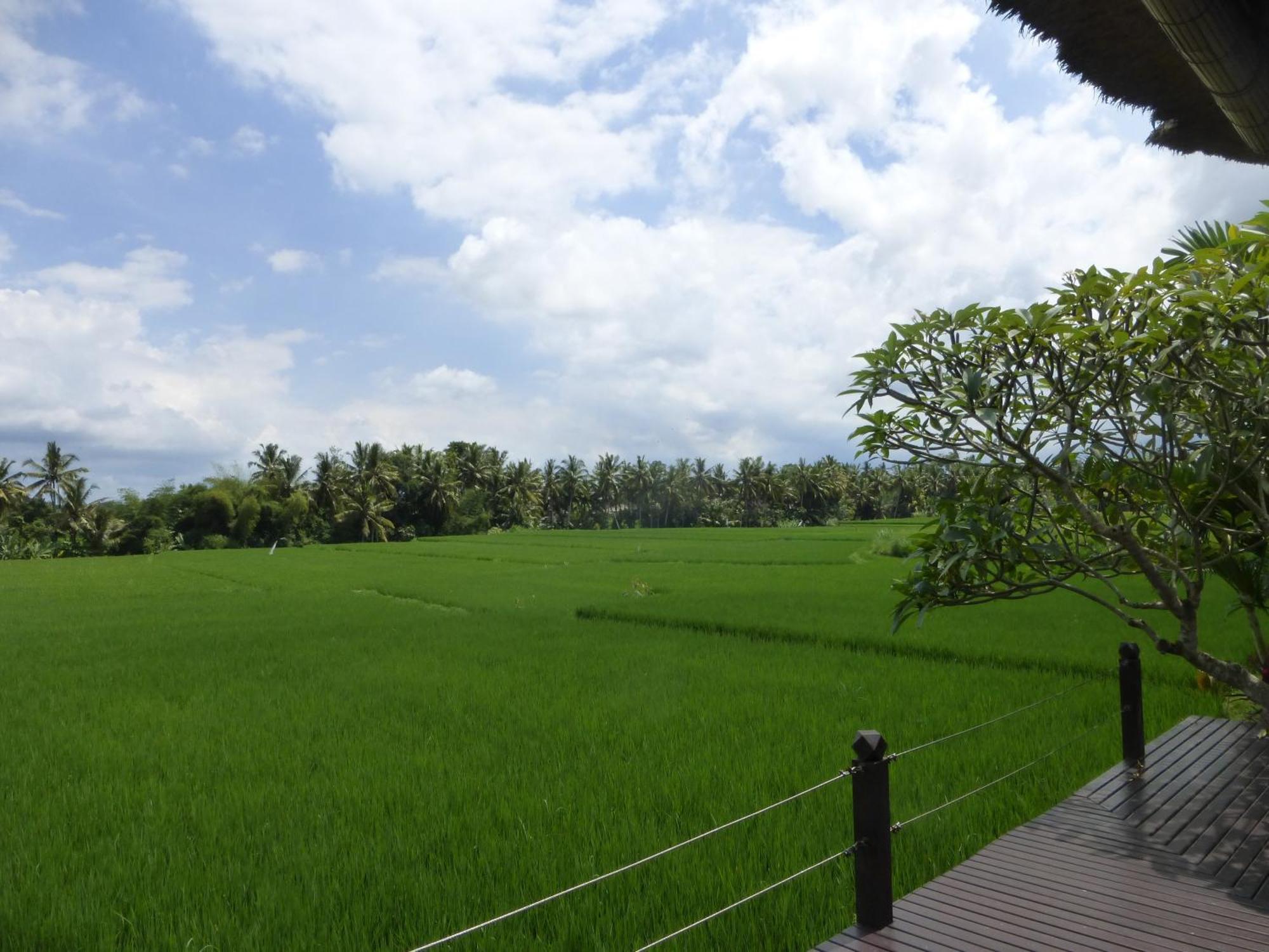 Bali Harmony Villa Ubud Pokoj fotografie