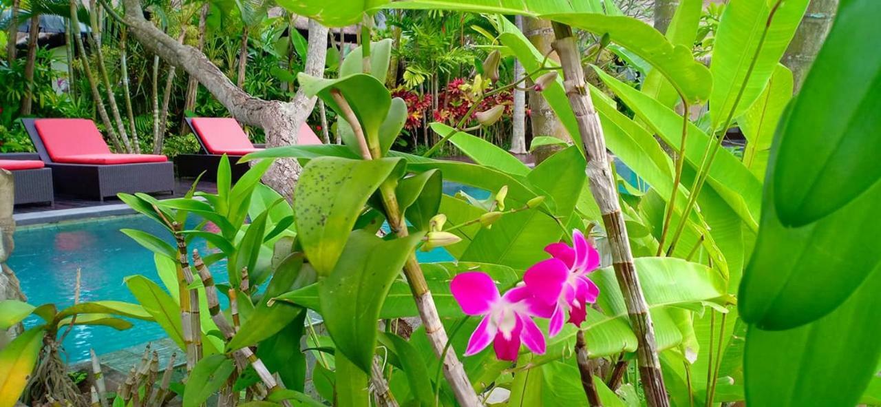 Bali Harmony Villa Ubud Exteriér fotografie